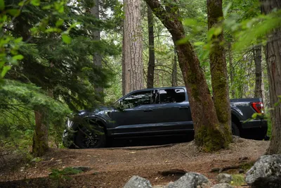 DSC_4636 (Large).JPG